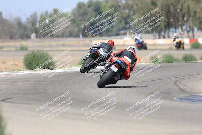 media/Sep-07-2025-Pacific Track Time (Sun) [[a6322260b9]]/A and B Group/Wheelie Bump A and B/